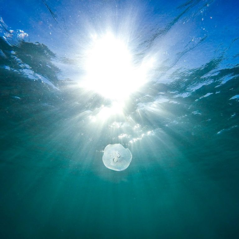 Sunlight filtering through water with a jellyfish floating below.